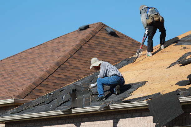 Best Gutter Replacement  in Aldine, TX